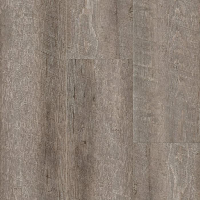 Silk Saddle Oak