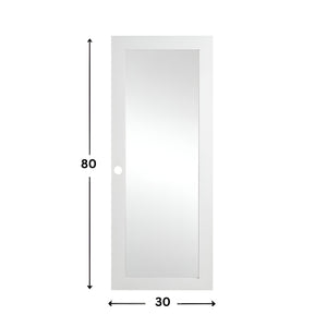 1-Lite Glass Prehung Door (Frosted - 80" height)