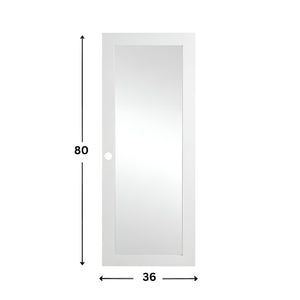 1-Lite Glass Prehung Door (Frosted - 80" height)