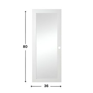1-Lite Glass Prehung Door (Frosted - 80" height)