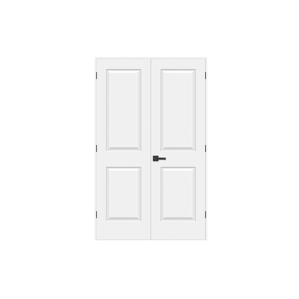 2-panel Hollow Molded Double Door