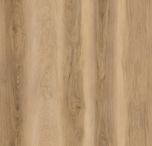 Carolina Hickory