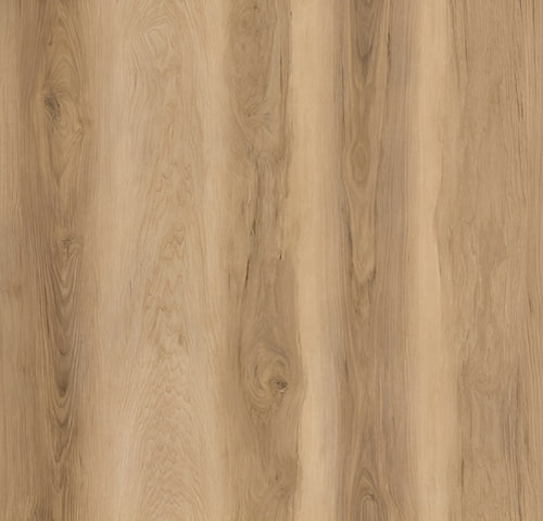 Carolina Hickory