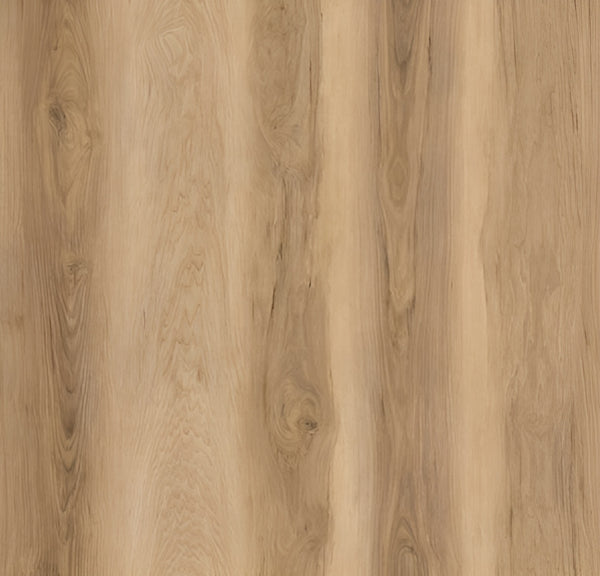 Carolina Hickory