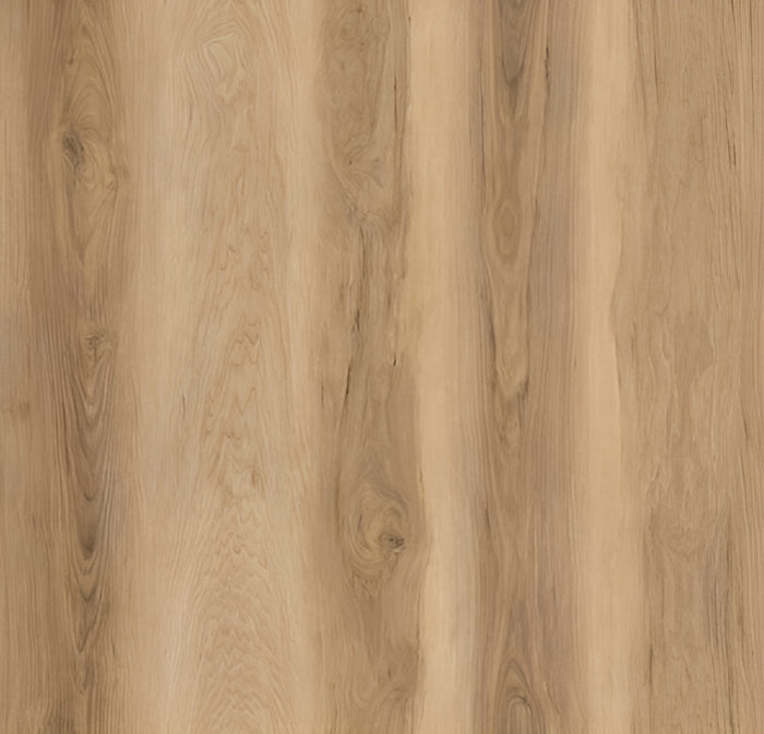 Carolina Hickory