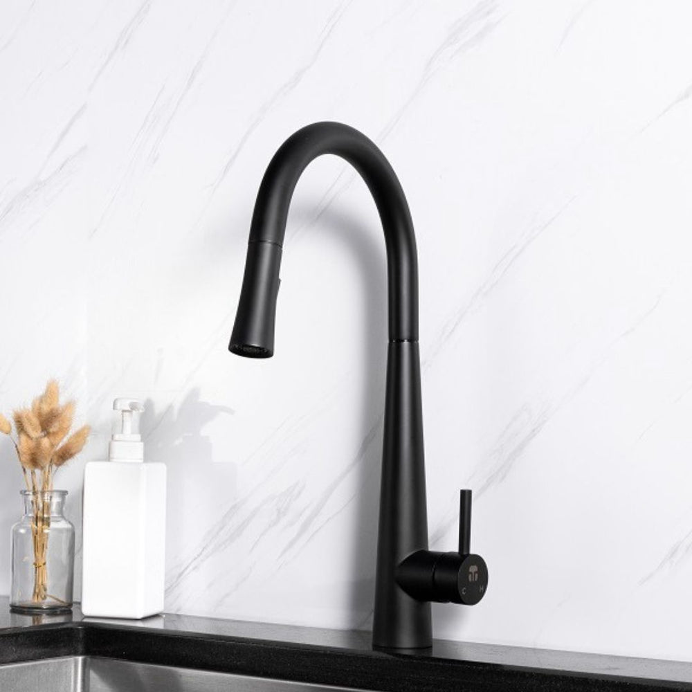 Pull out Kitchen Faucet - Matt Black