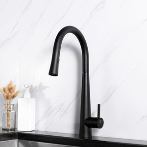 Pull out Kitchen Faucet - Matt Black