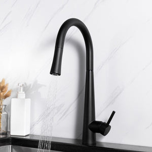 Pull out Kitchen Faucet - Matt Black