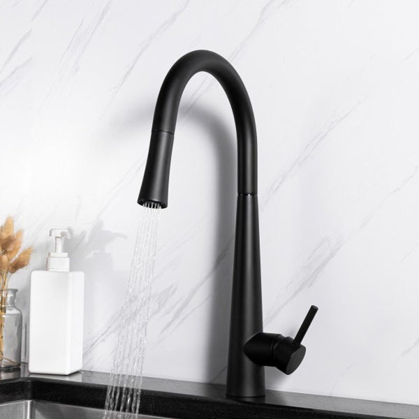 Pull out Kitchen Faucet - Matt Black