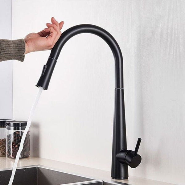 Pull out Kitchen Faucet - Matt Black