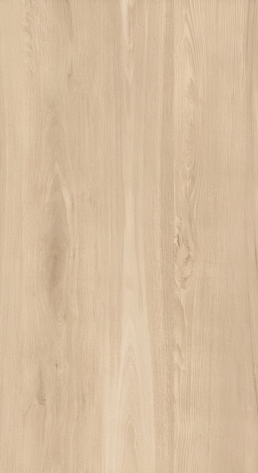 ALCANIZ Beige