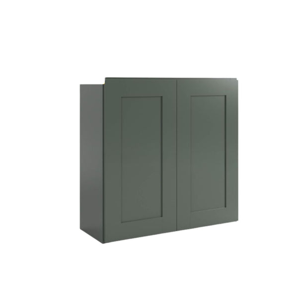 Aston Green 30"H Double Door Wall Cabinet