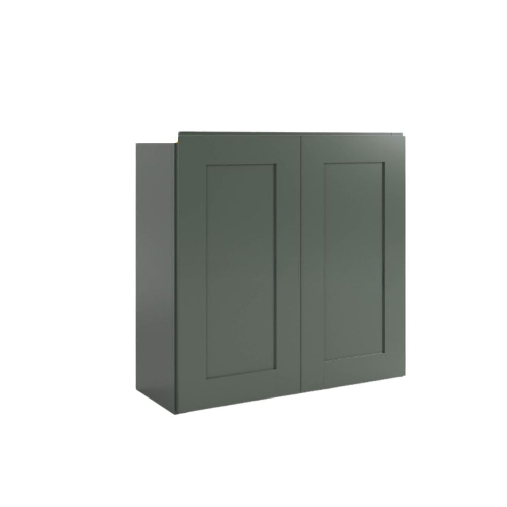 Aston Green 36" H Double Door Wall Cabinet