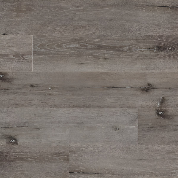 Acclima Ludlow