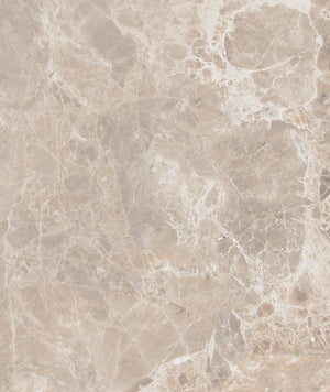 Alpha Beige Polished