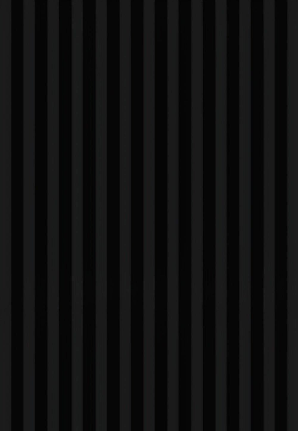 Black Panel 2x10
