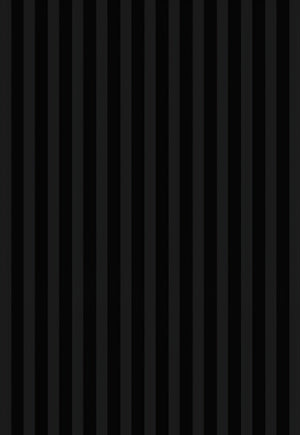 Black Panel 2x10