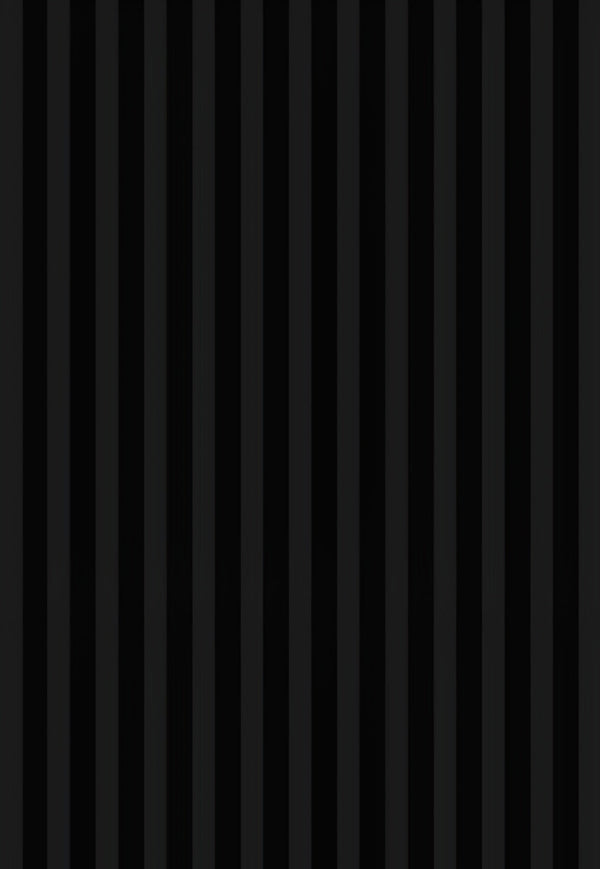 Black Panel 2x10