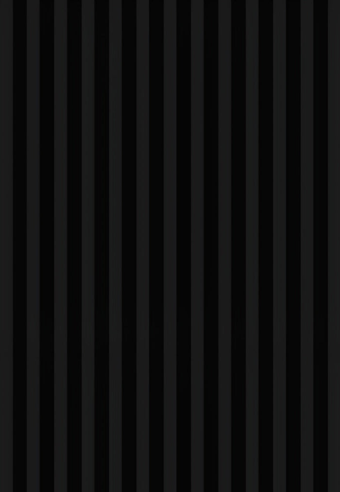 Black Panel 2x10