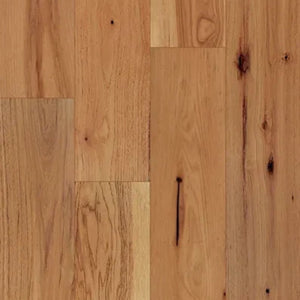 Isabel del viento del oeste