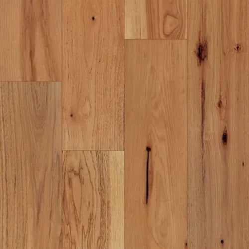 Isabel del viento del oeste