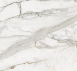 Calacatta Splendido Polished Porcelain Tile