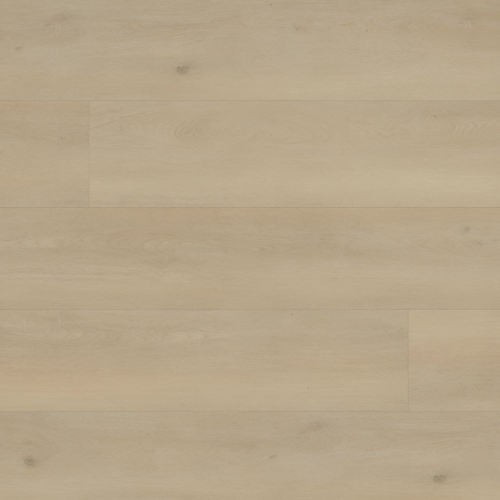 Kallum Benton Blonde