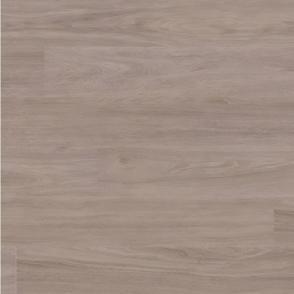 Katavia  Bleached Elm