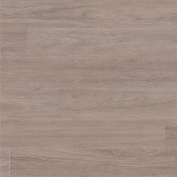 Katavia  Bleached Elm