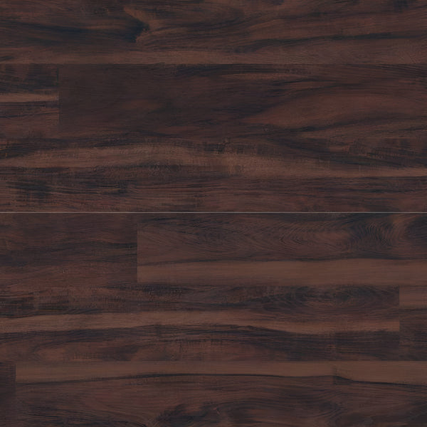Katavia Burnished Acacia