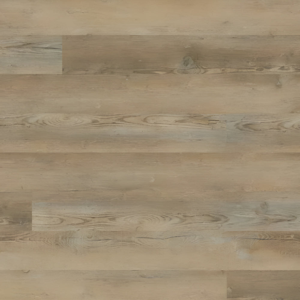 Katavia  Lime Washed Oak