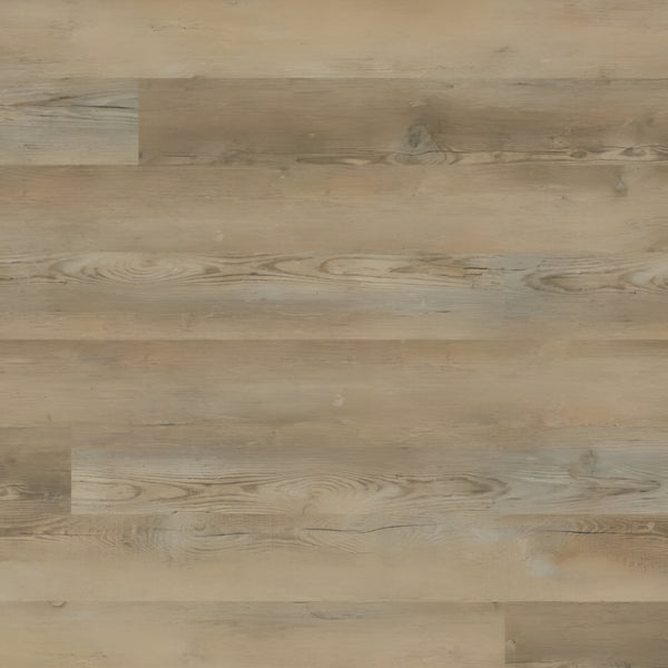 Katavia  Lime Washed Oak