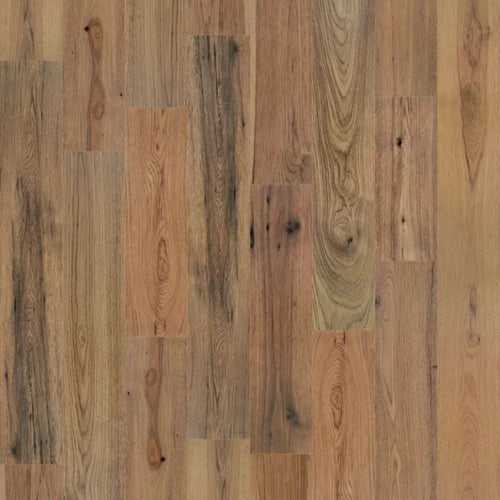 Liano de viento del oeste