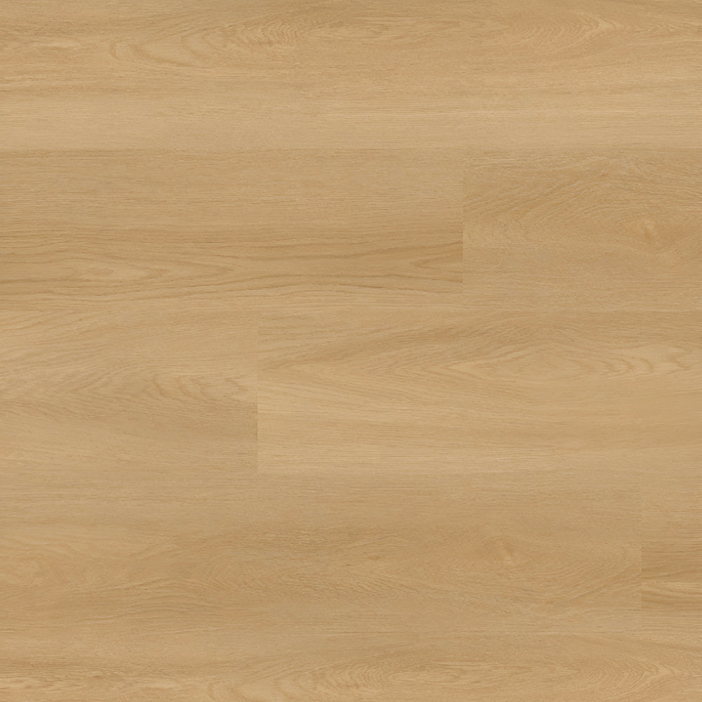 Nove Bayside Buff 9X48