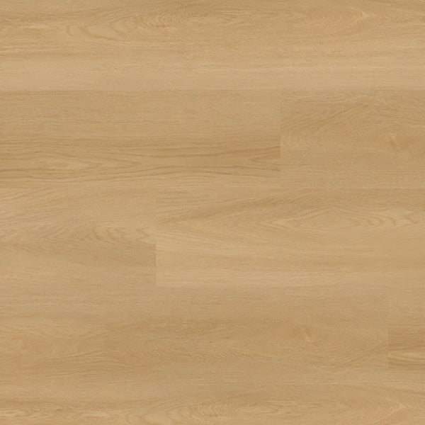 Nove Bayside Buff 9X48
