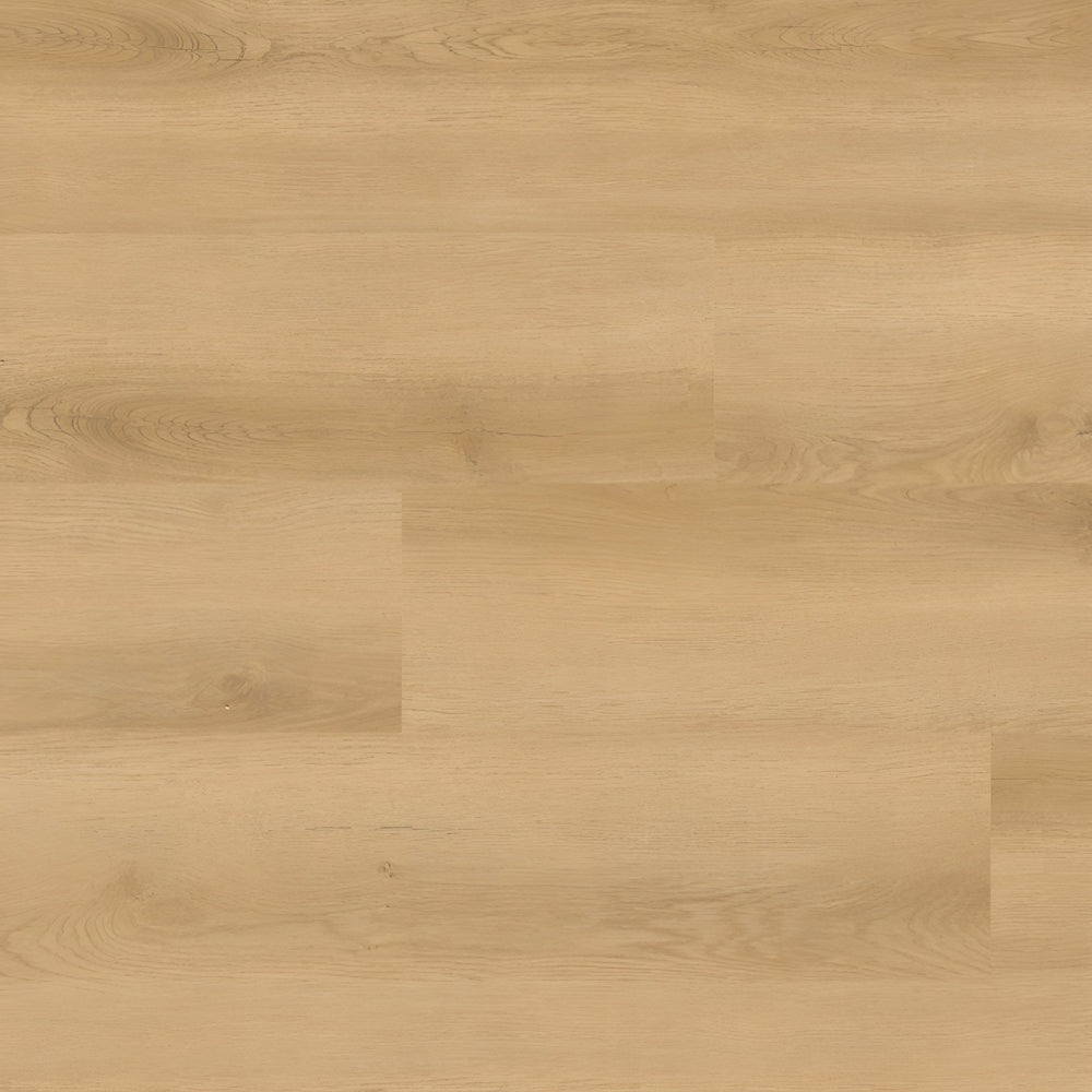 Nove Hyde Haven 9X48
