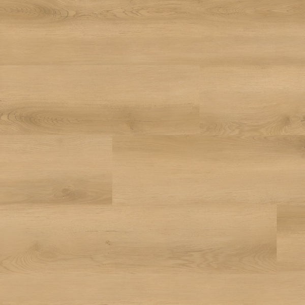 Nove Hyde Haven 9X48