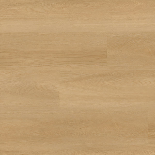 Nove Plus Bayside Buff 9X48