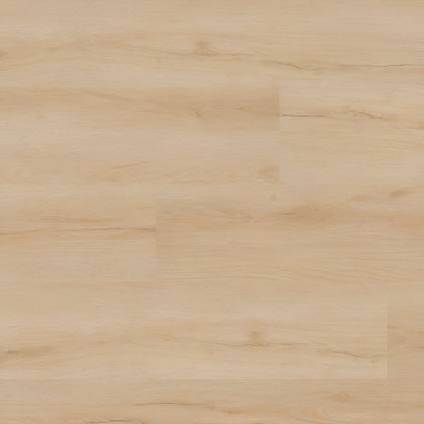 Nove Plus Fallonton 9X48