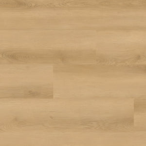 Nove Plus Hyde Haven 9X48