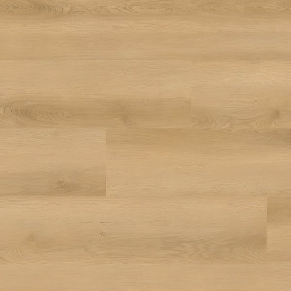 Nove Plus Hyde Haven 9X48