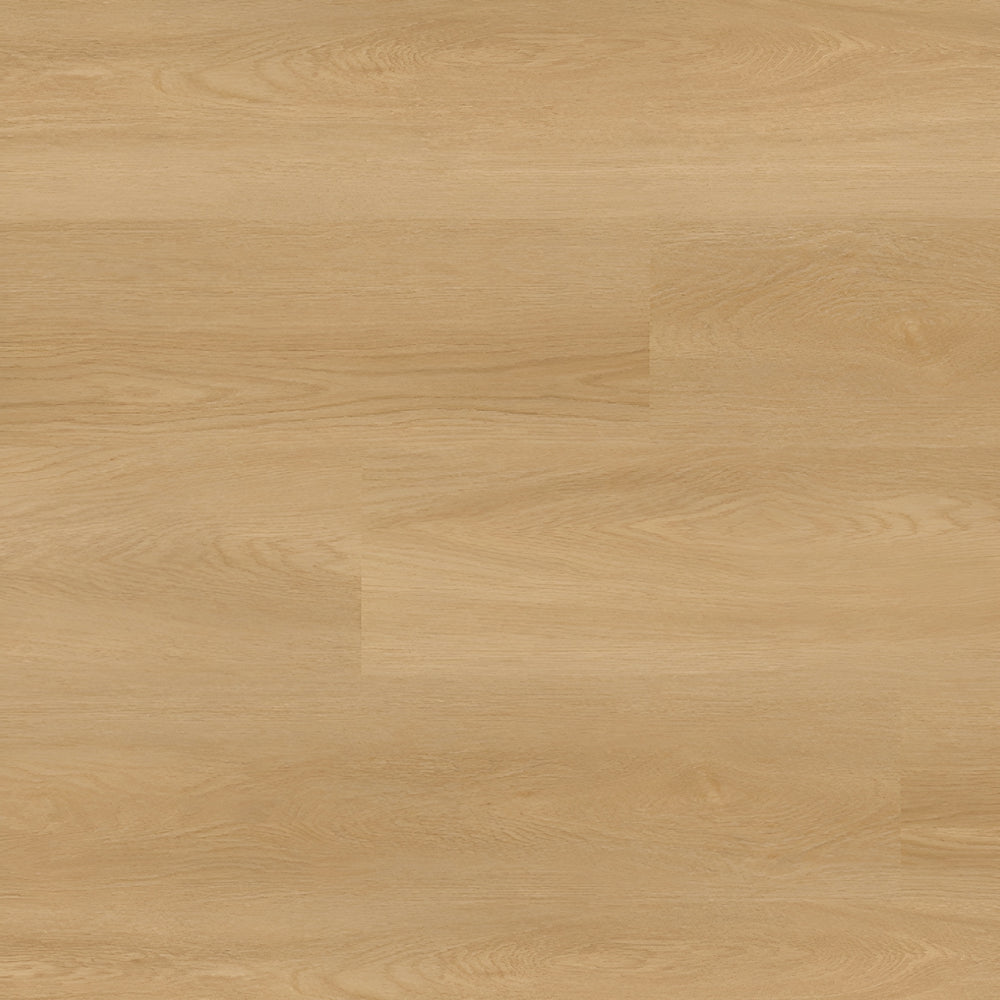 Nove Reserve Bayside Buff 9X48