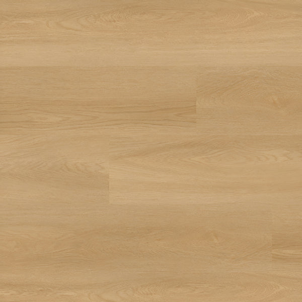 Nove Reserve Bayside Buff 9X48