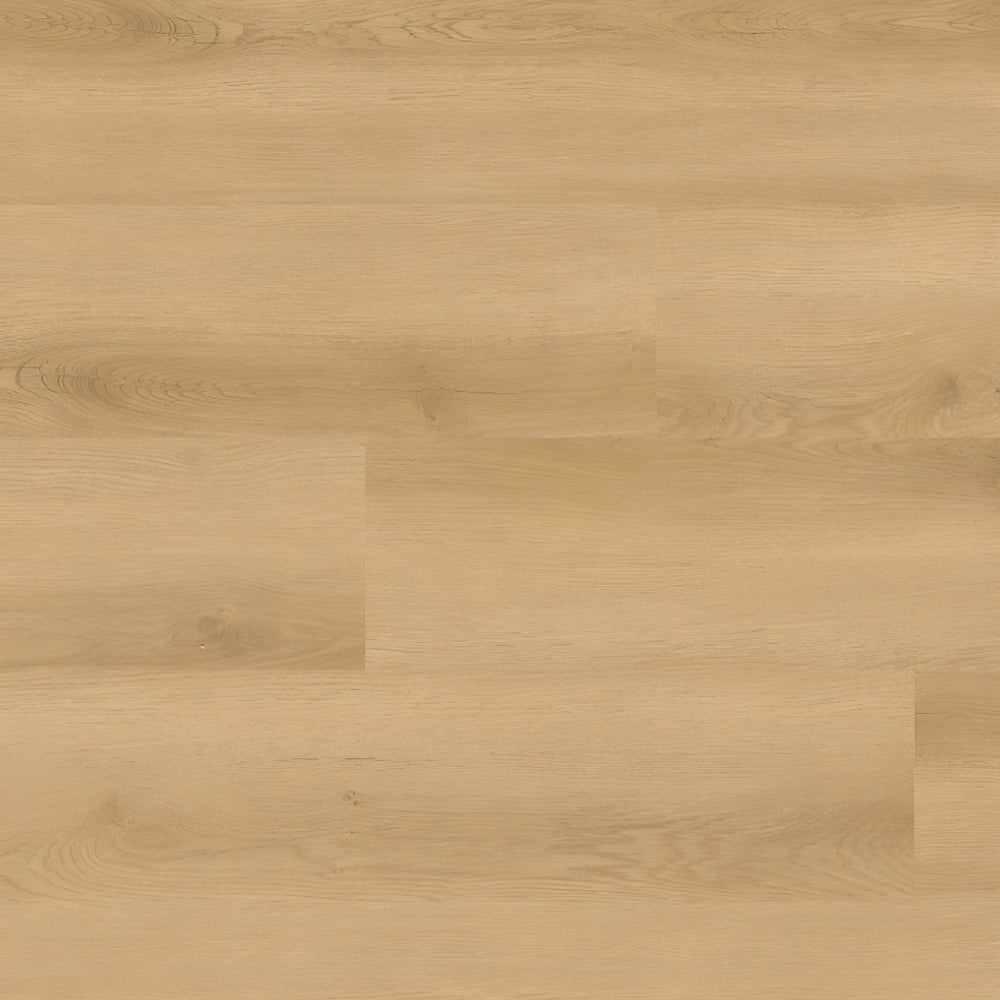 Nove Reserve Hyde Haven 9X48