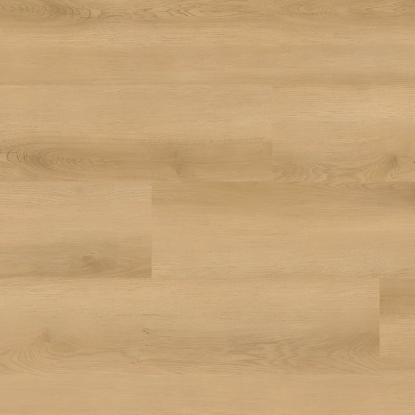 Nove Reserve Hyde Haven 9X48