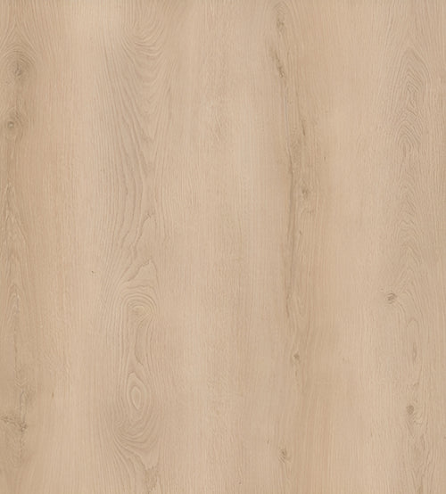 Reina Oak