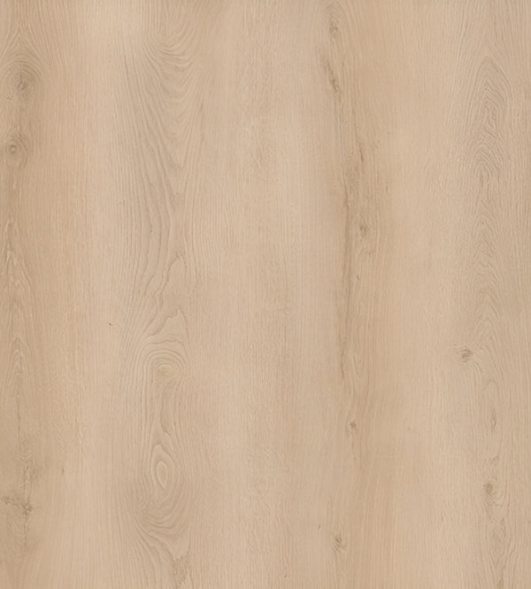 Reina Oak