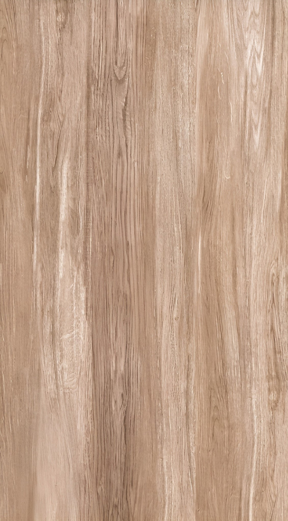 PALENCIA Beige