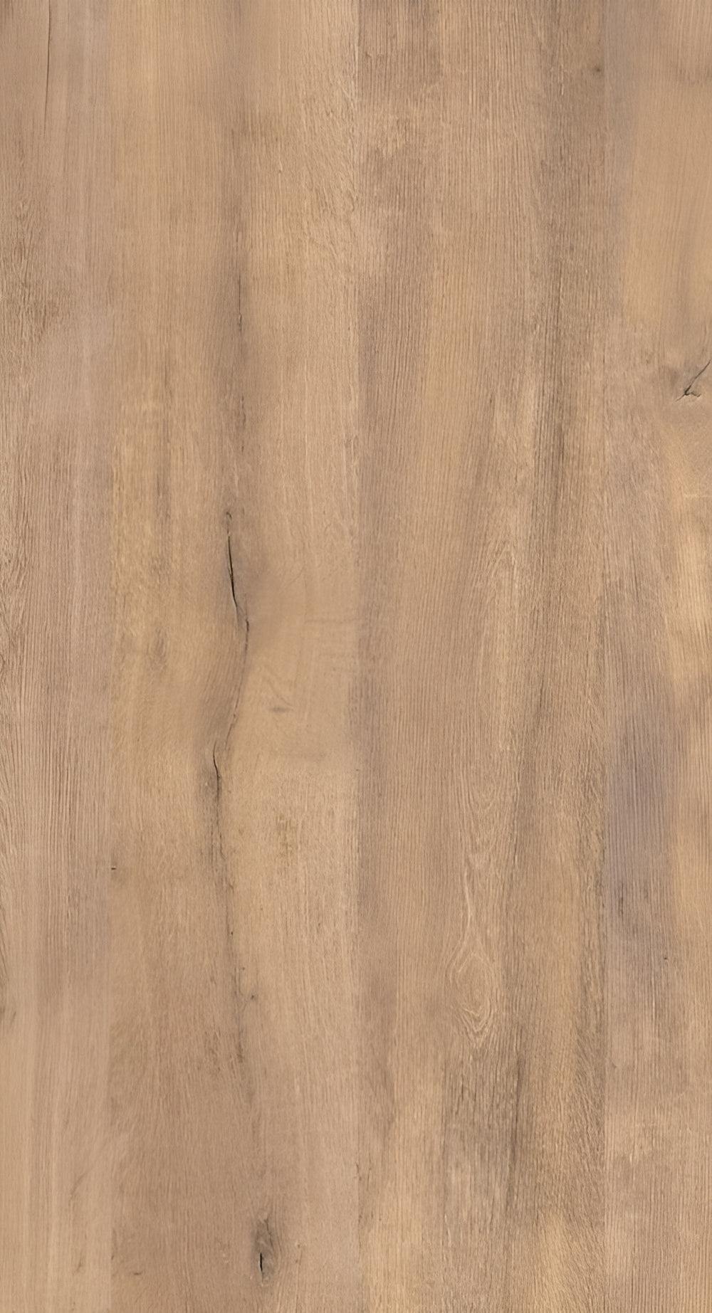 PALMARA Chestnut