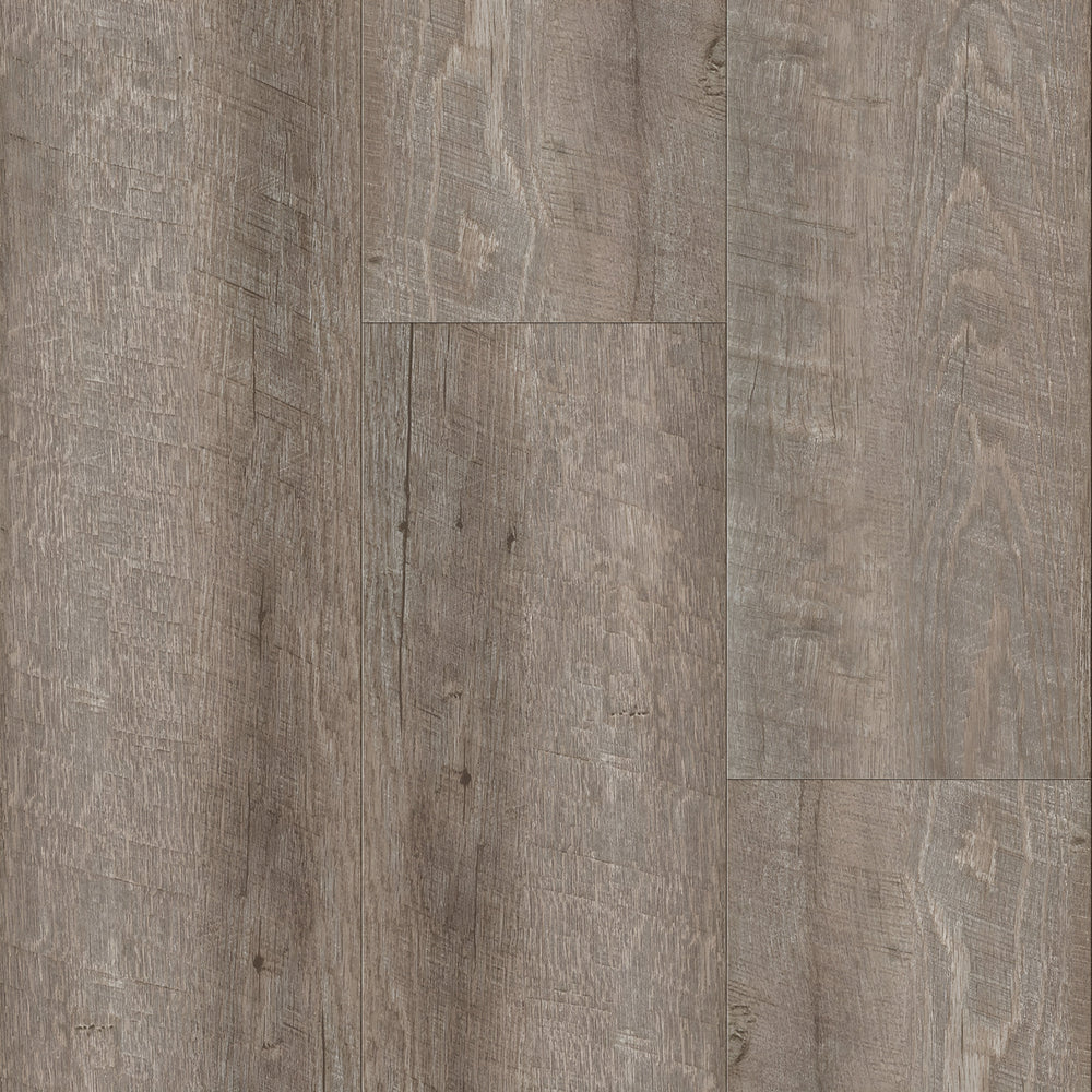 Silk Saddle Oak